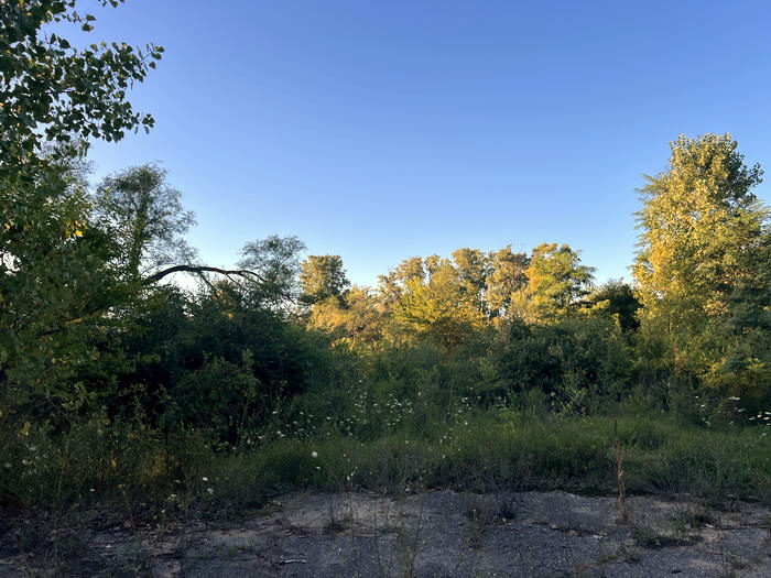 Hawaiian Gardens Resort Motel - Aug 30 2023 (newer photo)